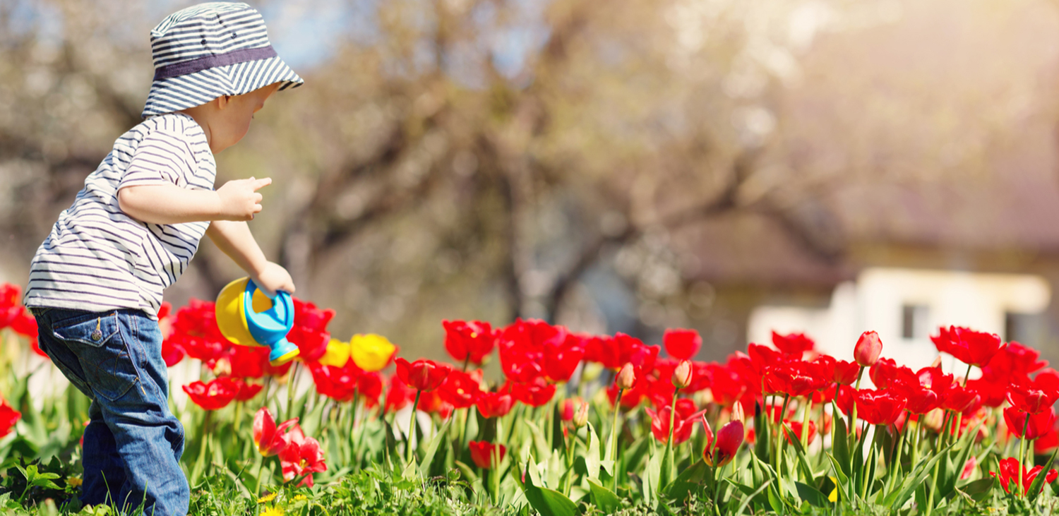 Community Point Bank Growing Together