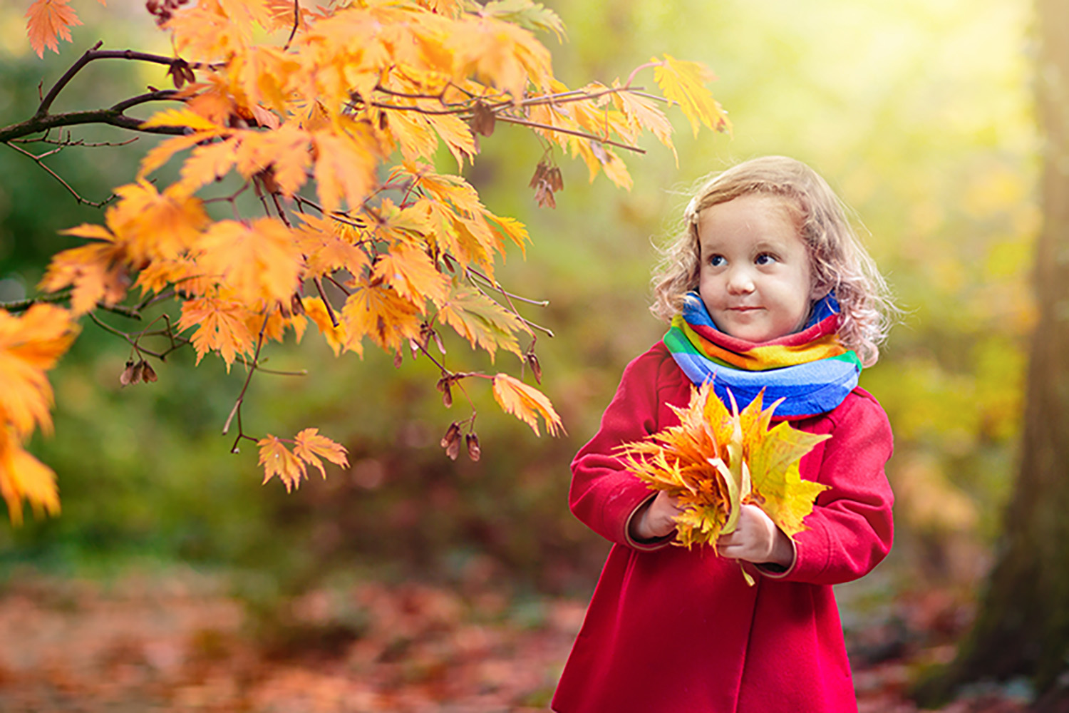 Community Point Bank Growing Together