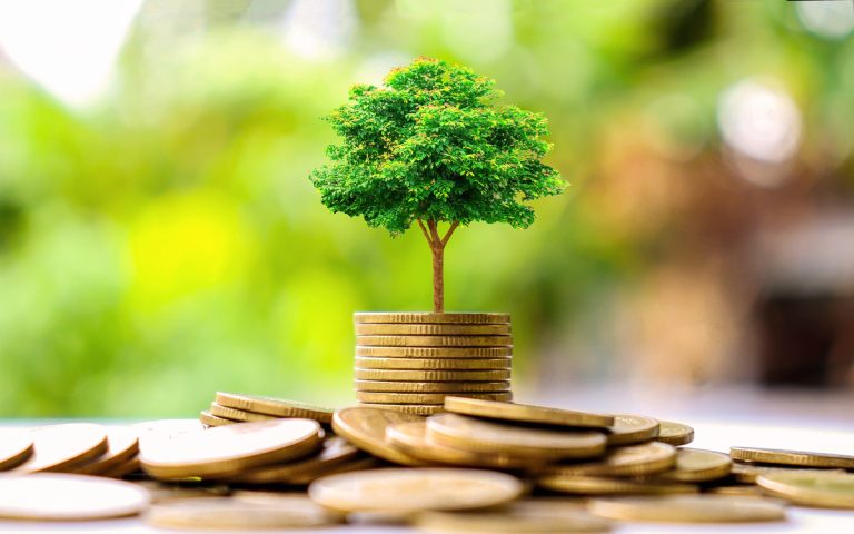 As businesses work to become more sustainable, environmentally friendly banks must become the norm.